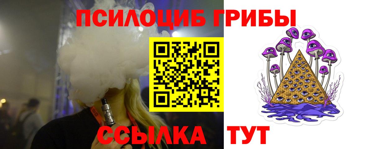 купить закладку  Вход с VPN  Дальнереченск  Псилоцибиновые грибы MAGIC MUSHROOMS  Псилоцибиновые грибы мицелий 